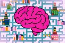 How the brain distinguishes between ambiguous hypotheses